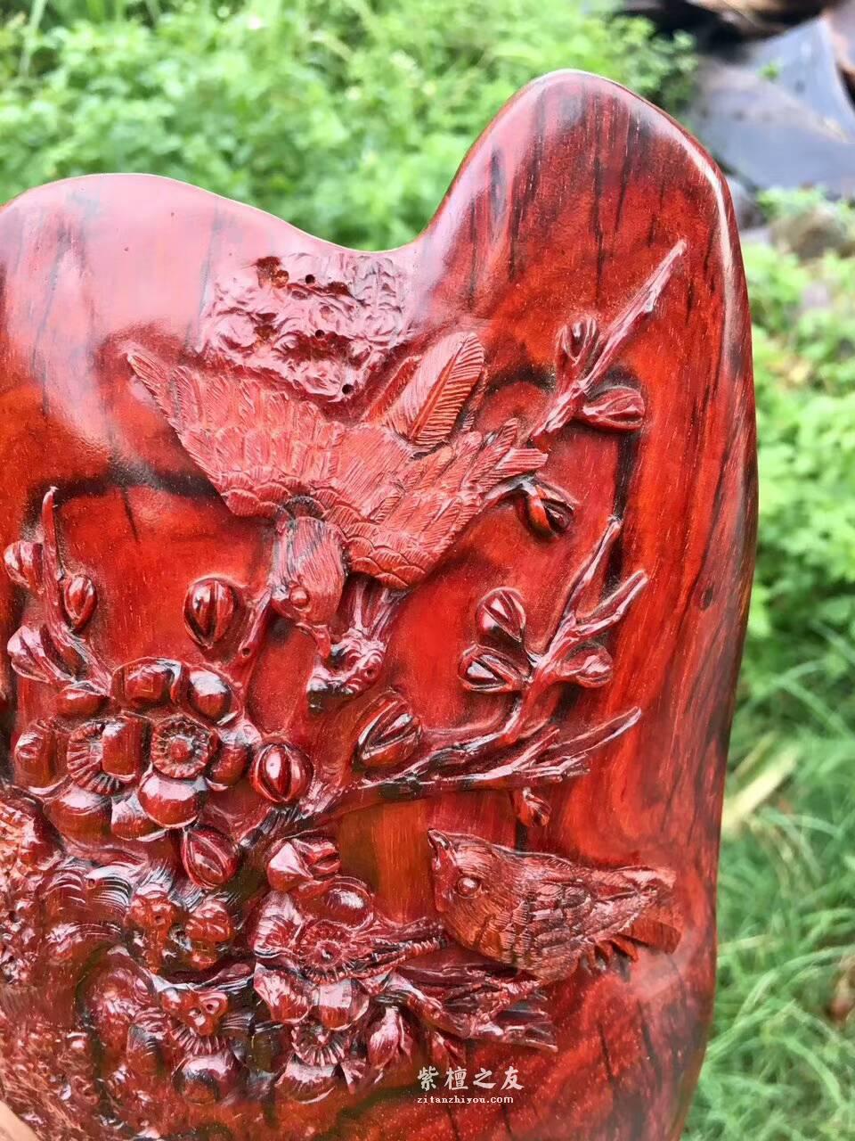 印度小叶紫檀工艺品《喜上眉梢》 鸡血红泥料精美雕工适合桌上装饰-7