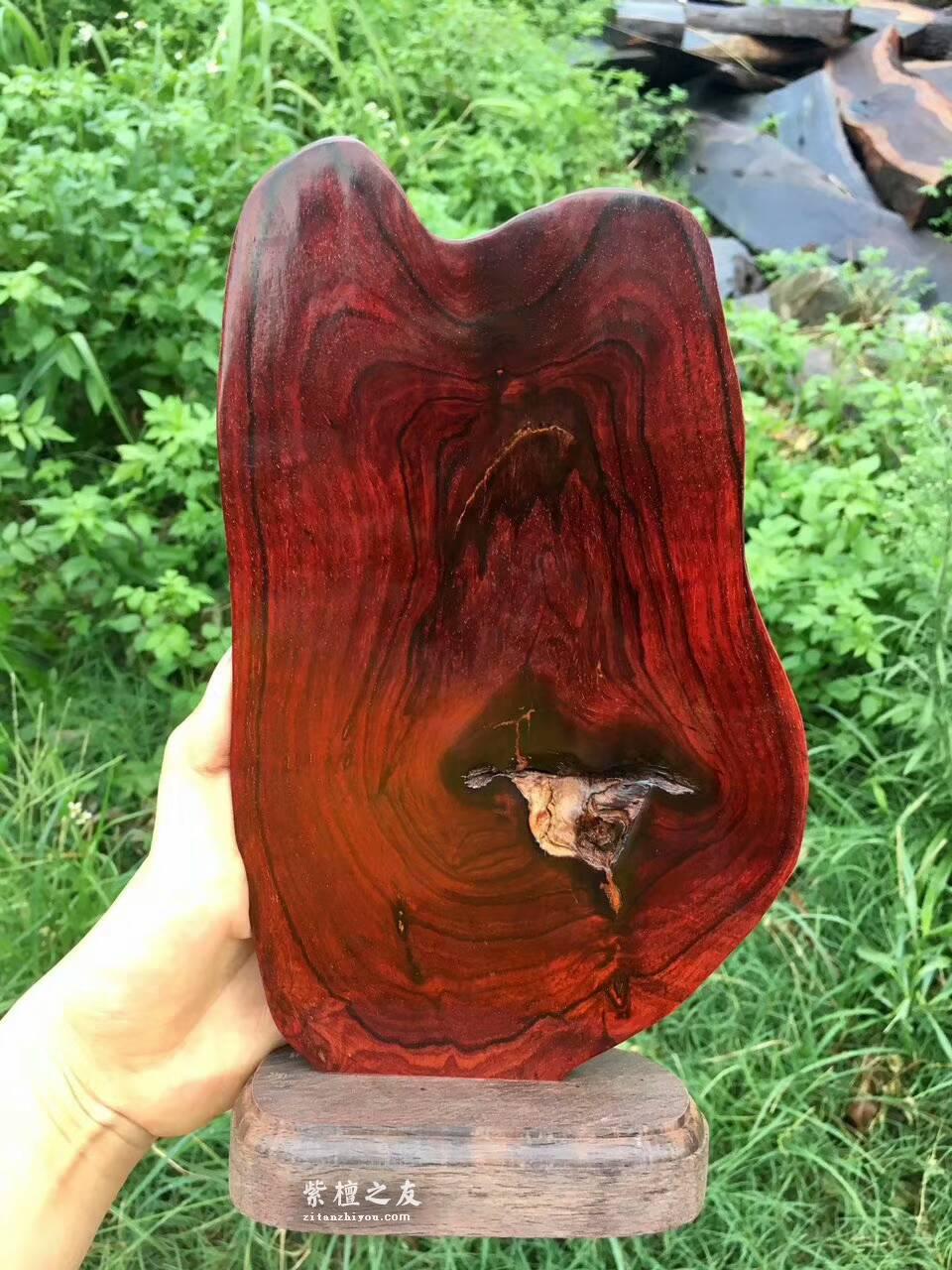 印度小叶紫檀工艺品《喜上眉梢》 鸡血红泥料精美雕工适合桌上装饰-8