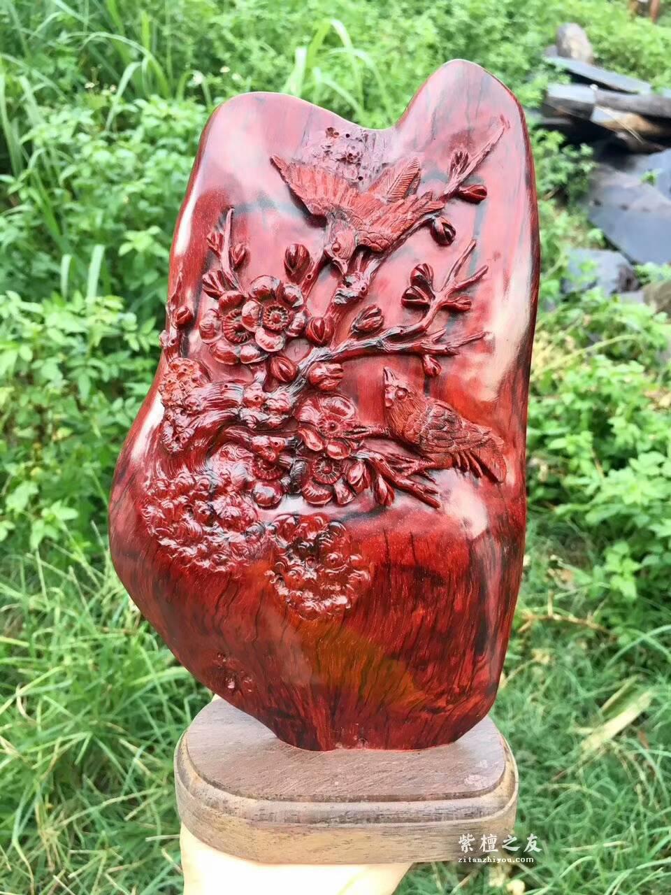 印度小叶紫檀工艺品《喜上眉梢》 鸡血红泥料精美雕工适合桌上装饰-9