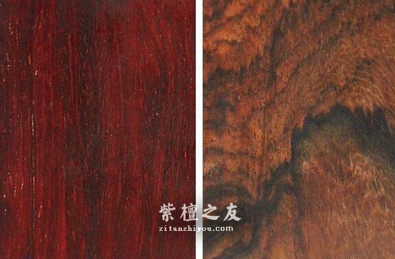 印度小叶紫檀和红酸枝