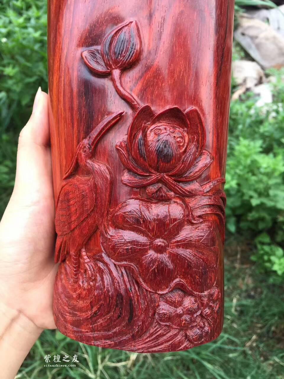 小叶紫檀笔筒《一路连科》雕工精细独特寓意好-2