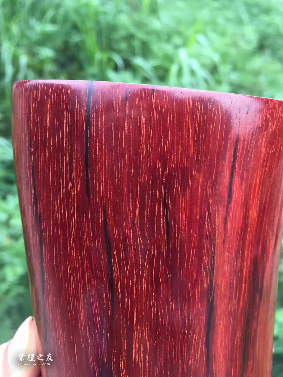 小叶紫檀笔筒《一路连科》雕工精细独特寓意好-4