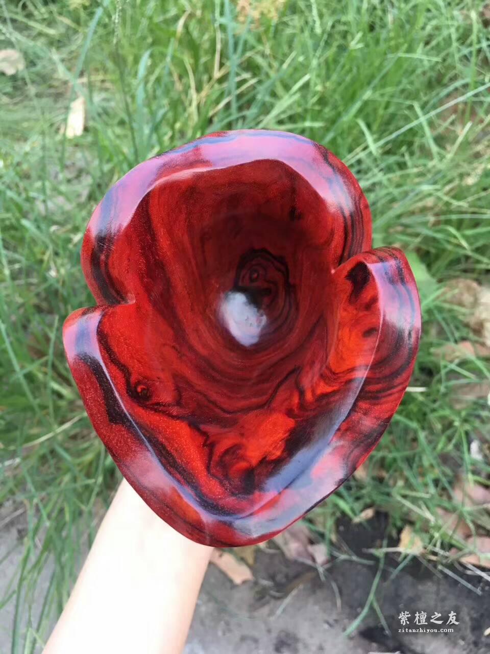 印度小叶紫檀《貔貅杯》 鸡血红呢料纯手工精工雕刻-7