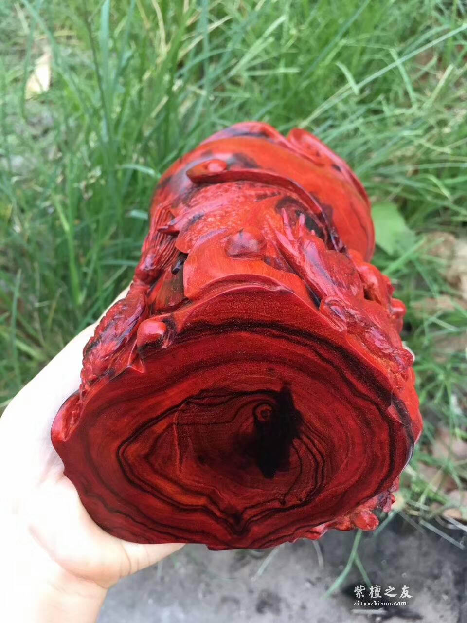 印度小叶紫檀《貔貅杯》 鸡血红呢料纯手工精工雕刻-8
