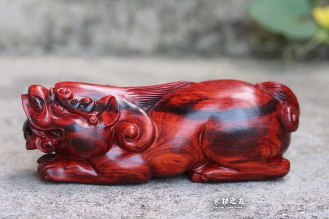 印度小叶紫檀《貔貅》纯手工雕刻精美鸡血红材质油性好-1