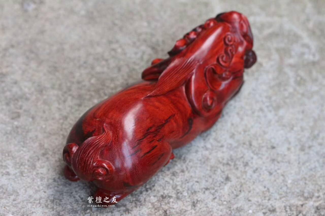 印度小叶紫檀《貔貅》纯手工雕刻精美鸡血红材质油性好-2