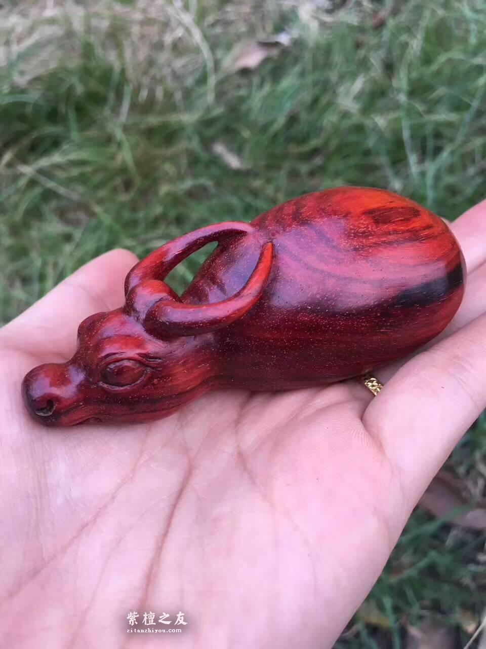 印度小叶紫檀工艺品《牛转乾坤》小巧玲珑适合把玩-1