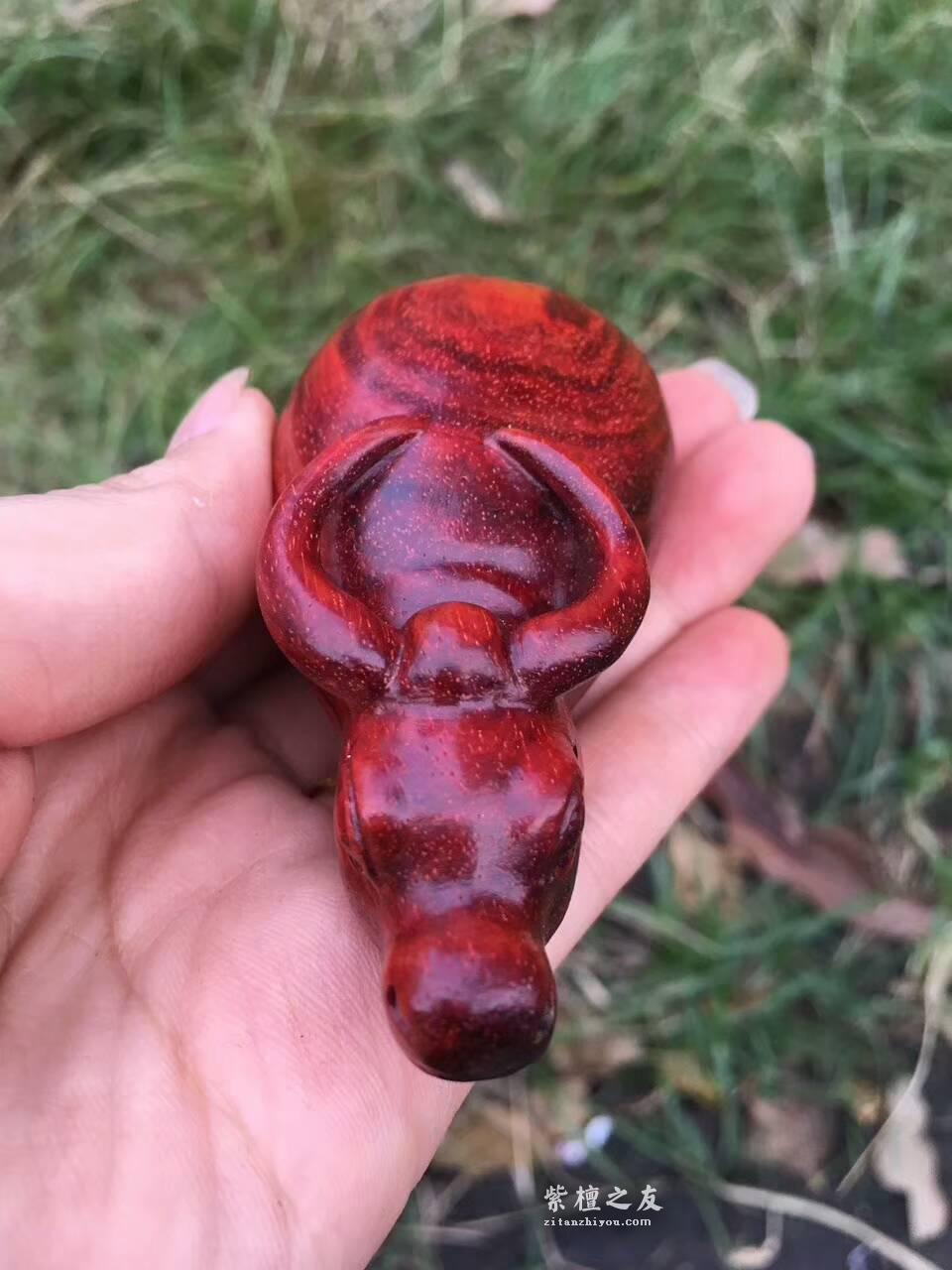 印度小叶紫檀工艺品《牛转乾坤》小巧玲珑适合把玩-3