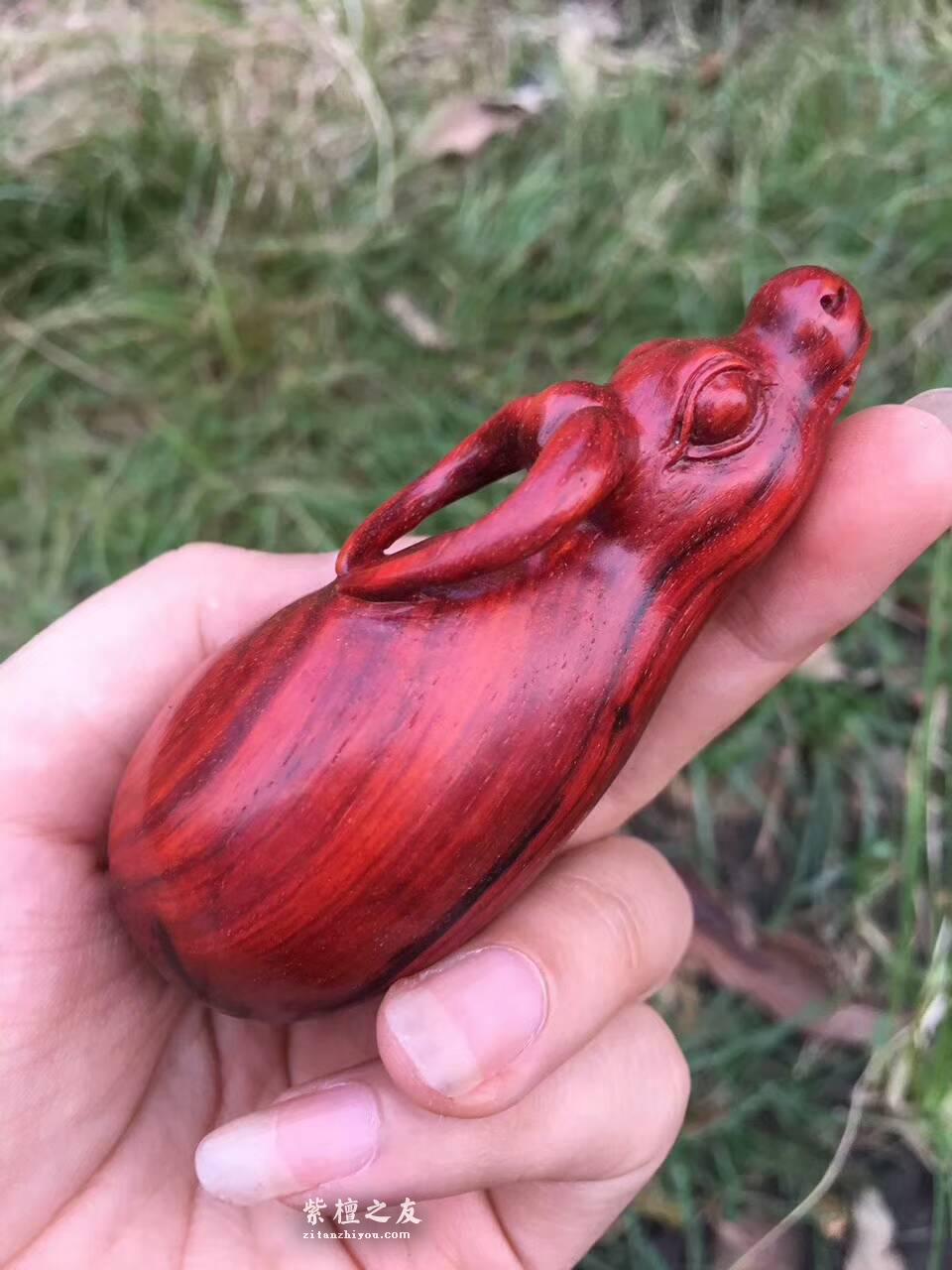 印度小叶紫檀工艺品《牛转乾坤》小巧玲珑适合把玩-5