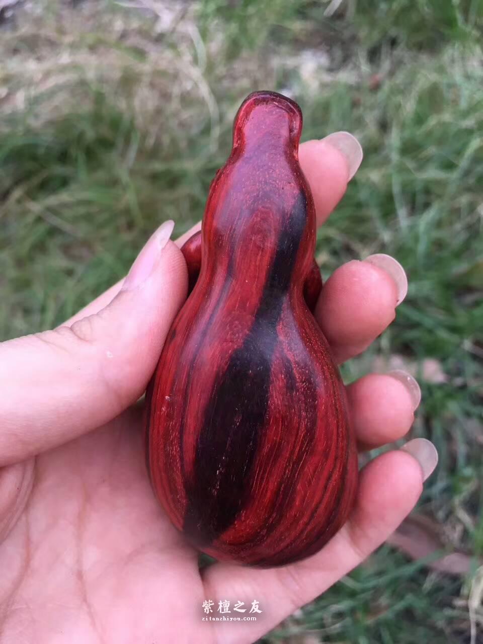 印度小叶紫檀工艺品《牛转乾坤》小巧玲珑适合把玩-6