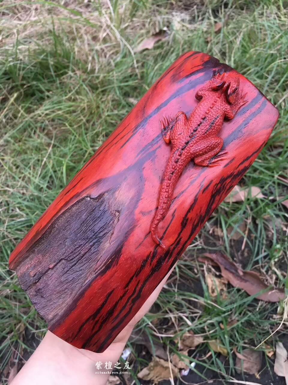 小叶紫檀工艺品《蜥蜴》吸亿 招财摆件雕工细腻商务送礼首选-2