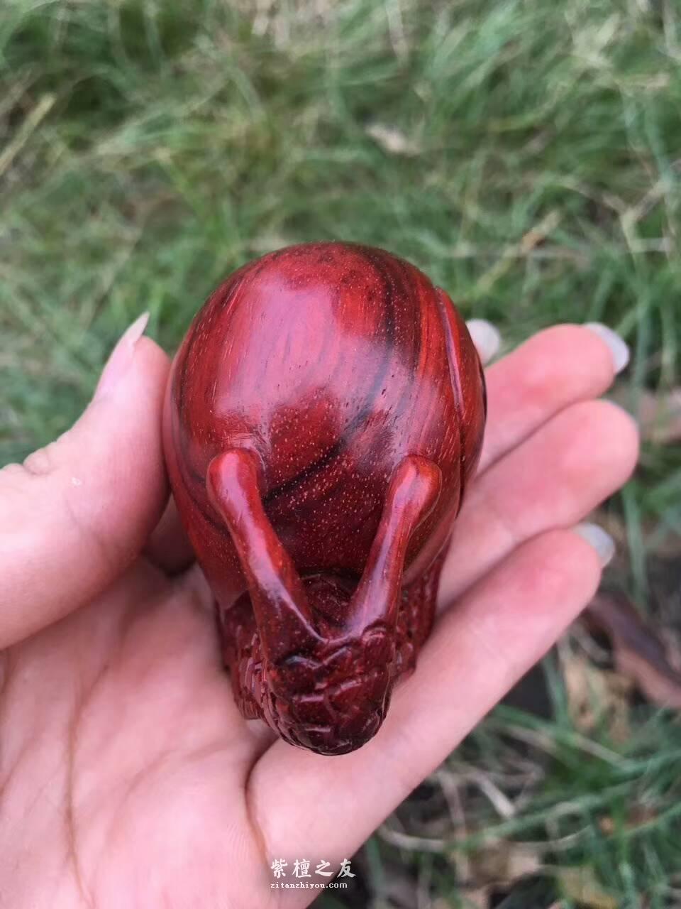 小叶紫檀工艺品《蜗牛》造型逼真细腻小巧易上手把玩-1