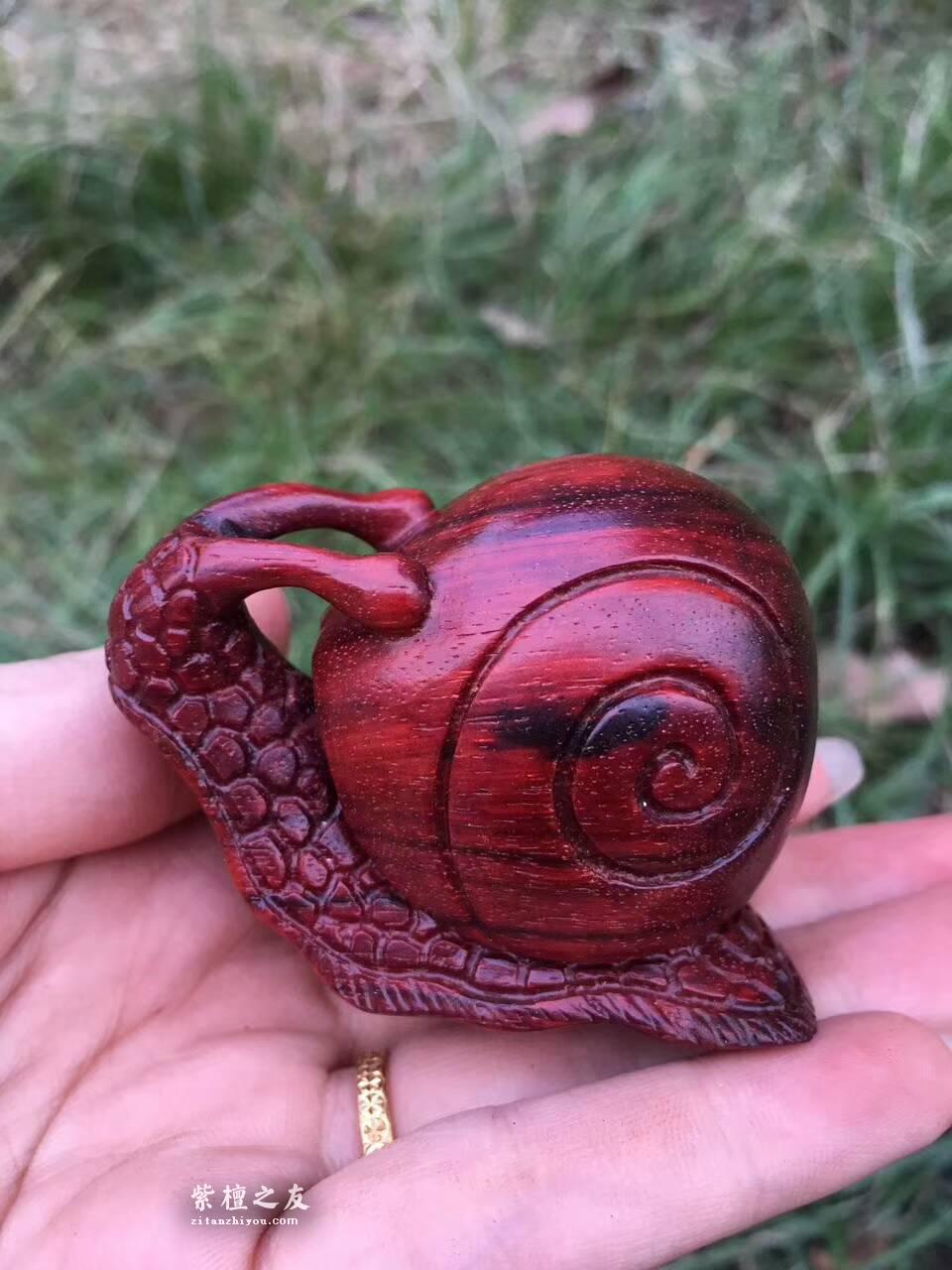 小叶紫檀工艺品《蜗牛》造型逼真细腻小巧易上手把玩-3