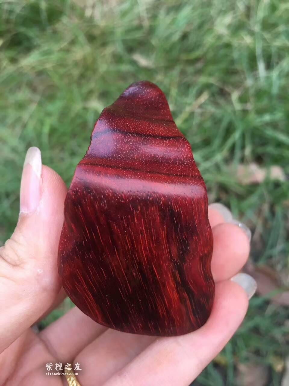 小叶紫檀工艺品《蜗牛》造型逼真细腻小巧易上手把玩-5