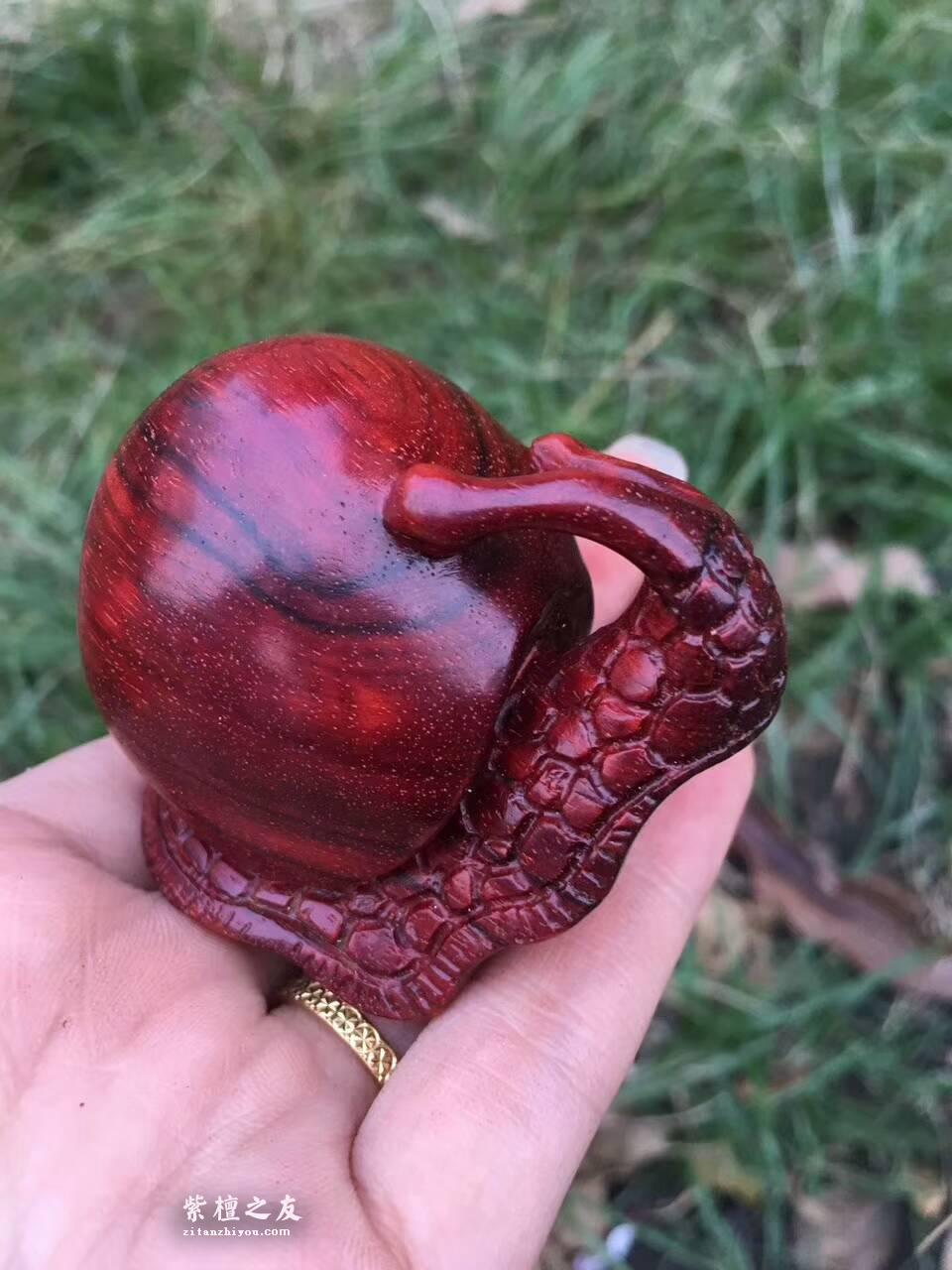 小叶紫檀工艺品《蜗牛》造型逼真细腻小巧易上手把玩-6
