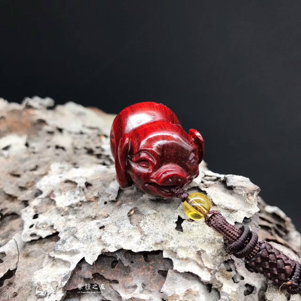 印度小叶紫檀小雕件小猪 高密度泥料带些许金星搭配天然水晶-5