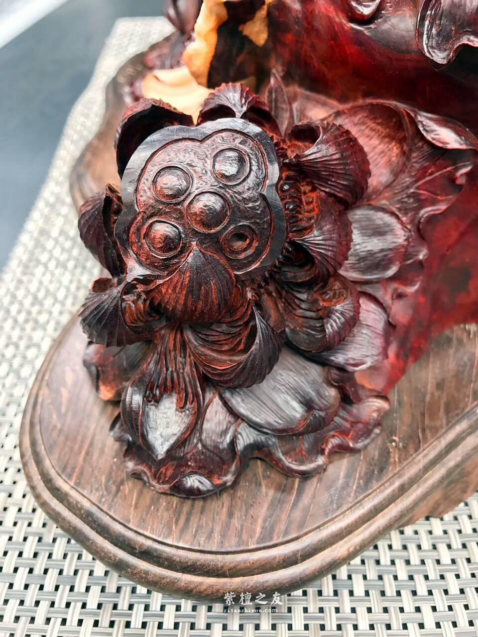 印度小叶紫檀手工雕刻工艺品《枯木生花》 风化百年枯木老料高密度金星带瘤树头，-3