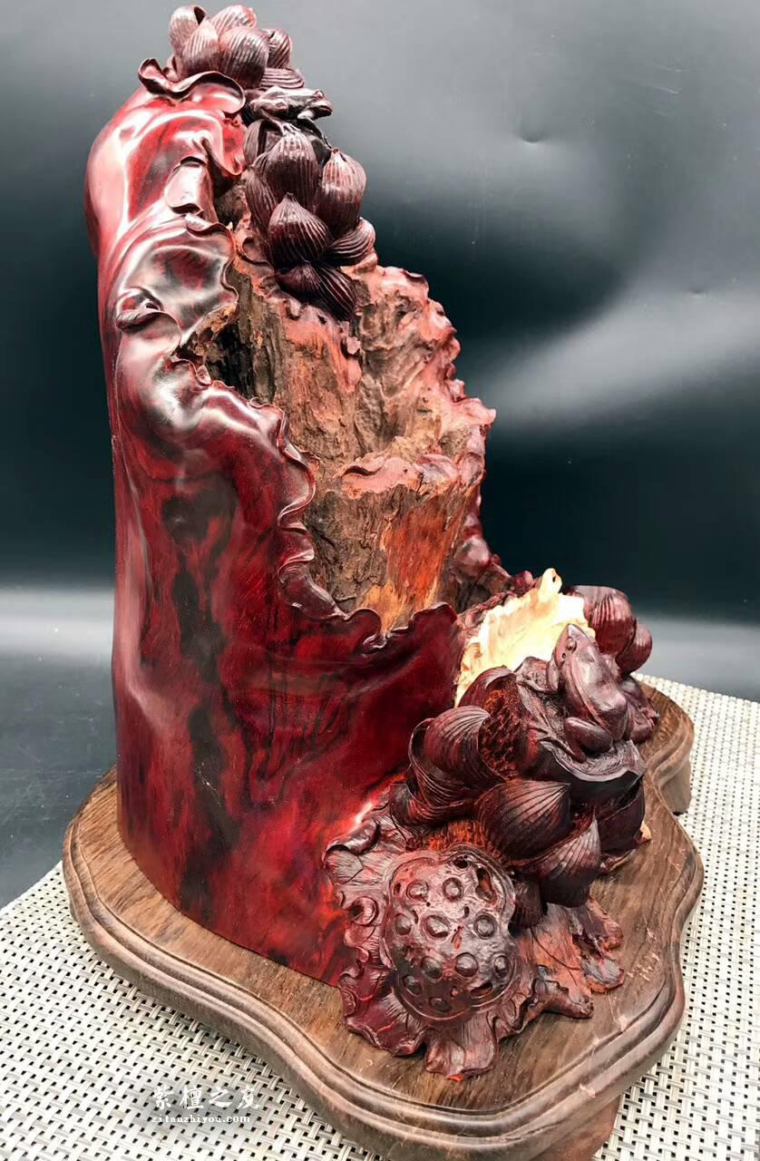 印度小叶紫檀手工雕刻工艺品《枯木生花》 风化百年枯木老料高密度金星带瘤树头，-4