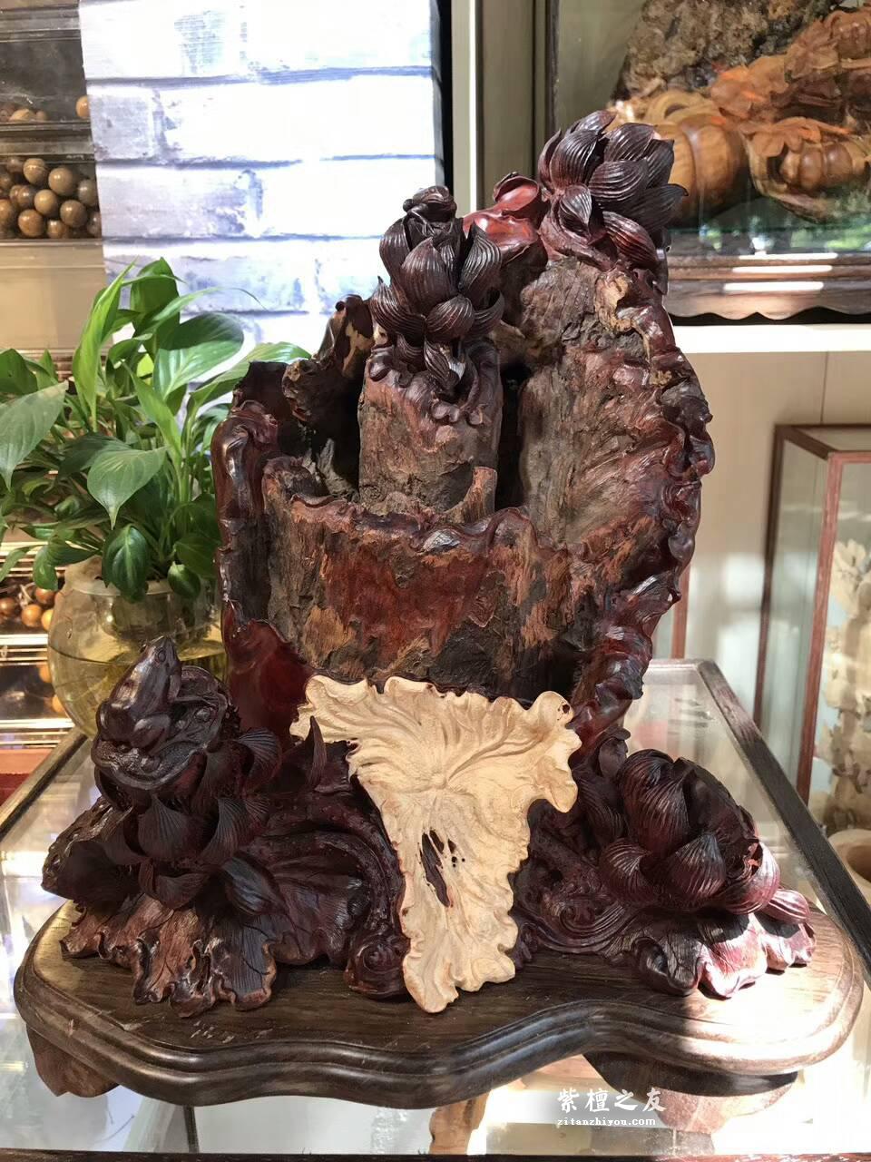 印度小叶紫檀手工雕刻工艺品《枯木生花》 风化百年枯木老料高密度金星带瘤树头，-5