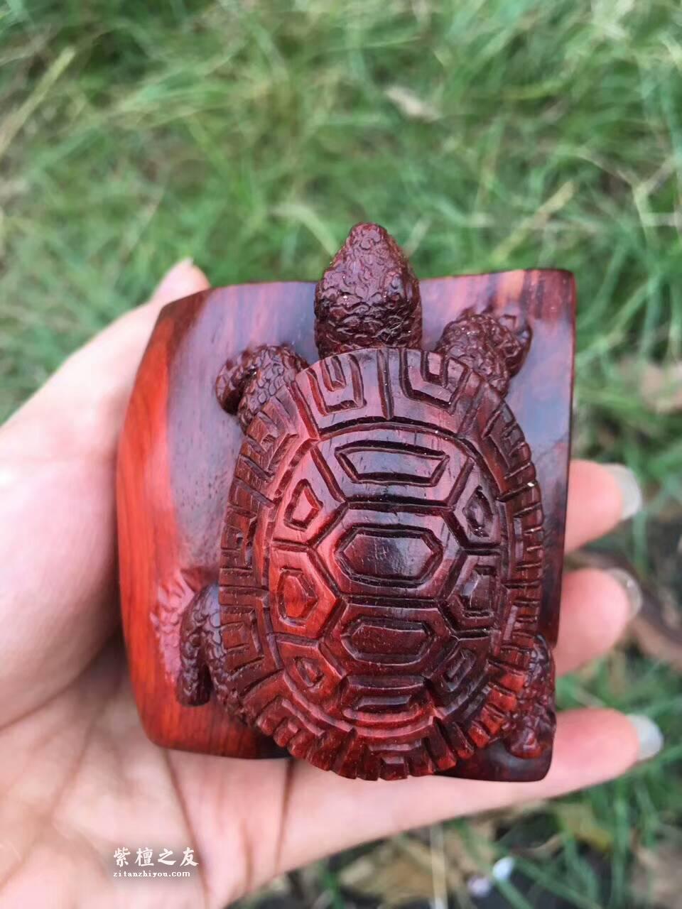 印度小紫叶檀手工雕刻工艺品《神龟》小巧可爱可当书桌摆件-2