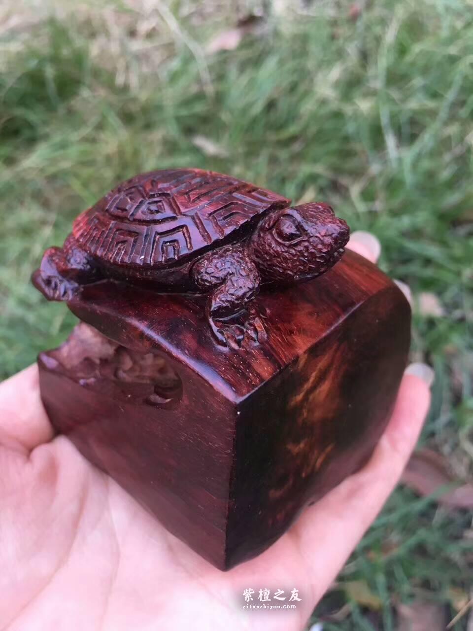 印度小紫叶檀手工雕刻工艺品《神龟》小巧可爱可当书桌摆件-5