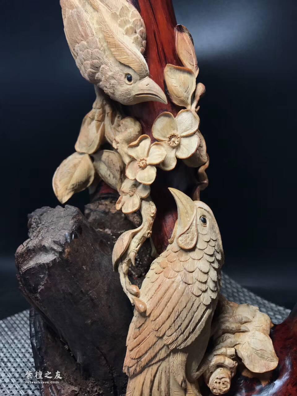 印度小叶紫檀根雕摆件《前程似锦》带白皮设计镂空雕刻栩栩如生-7