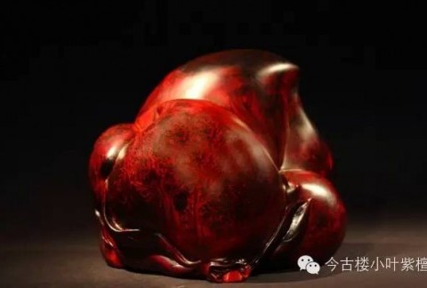 小叶紫檀中的瘿子是什么？