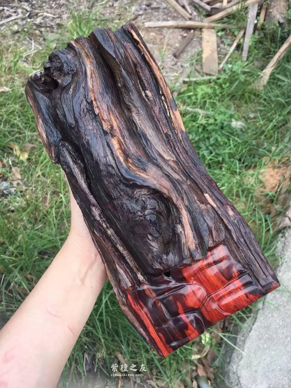 印度小紫叶檀雕件《卧佛》和原料形状完美搭配自然古朴-5