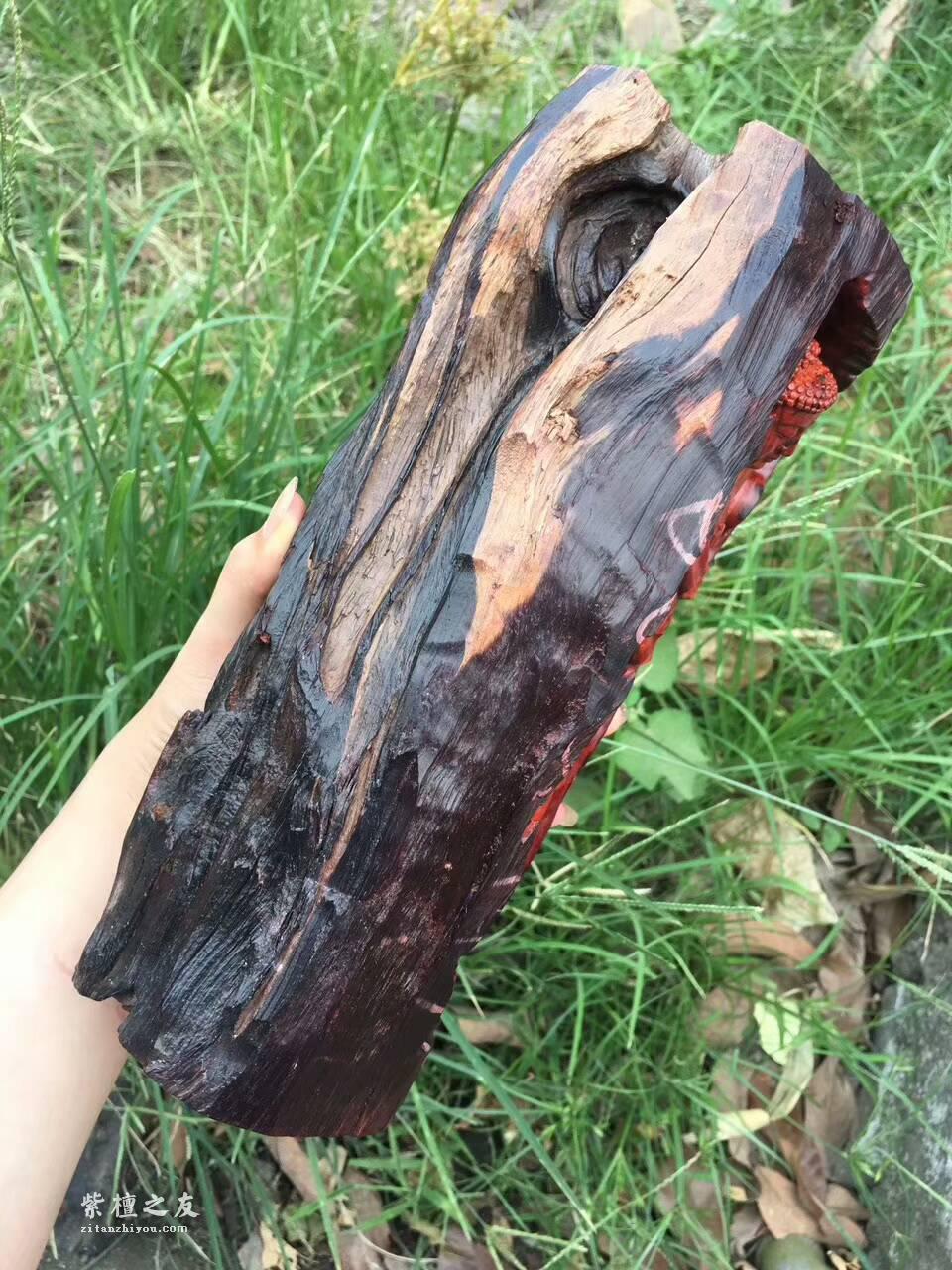 印度小紫叶檀雕件《卧佛》和原料形状完美搭配自然古朴-7