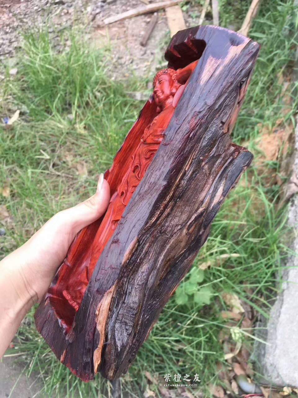 印度小紫叶檀雕件《卧佛》和原料形状完美搭配自然古朴-6