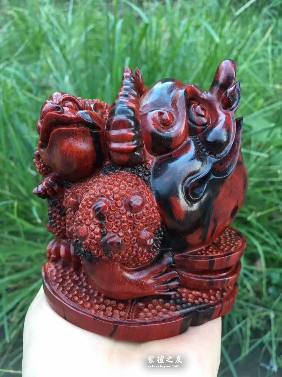 小叶紫檀招财工艺品《母子金蟾》火焰纹老料精雕寓意招财-1