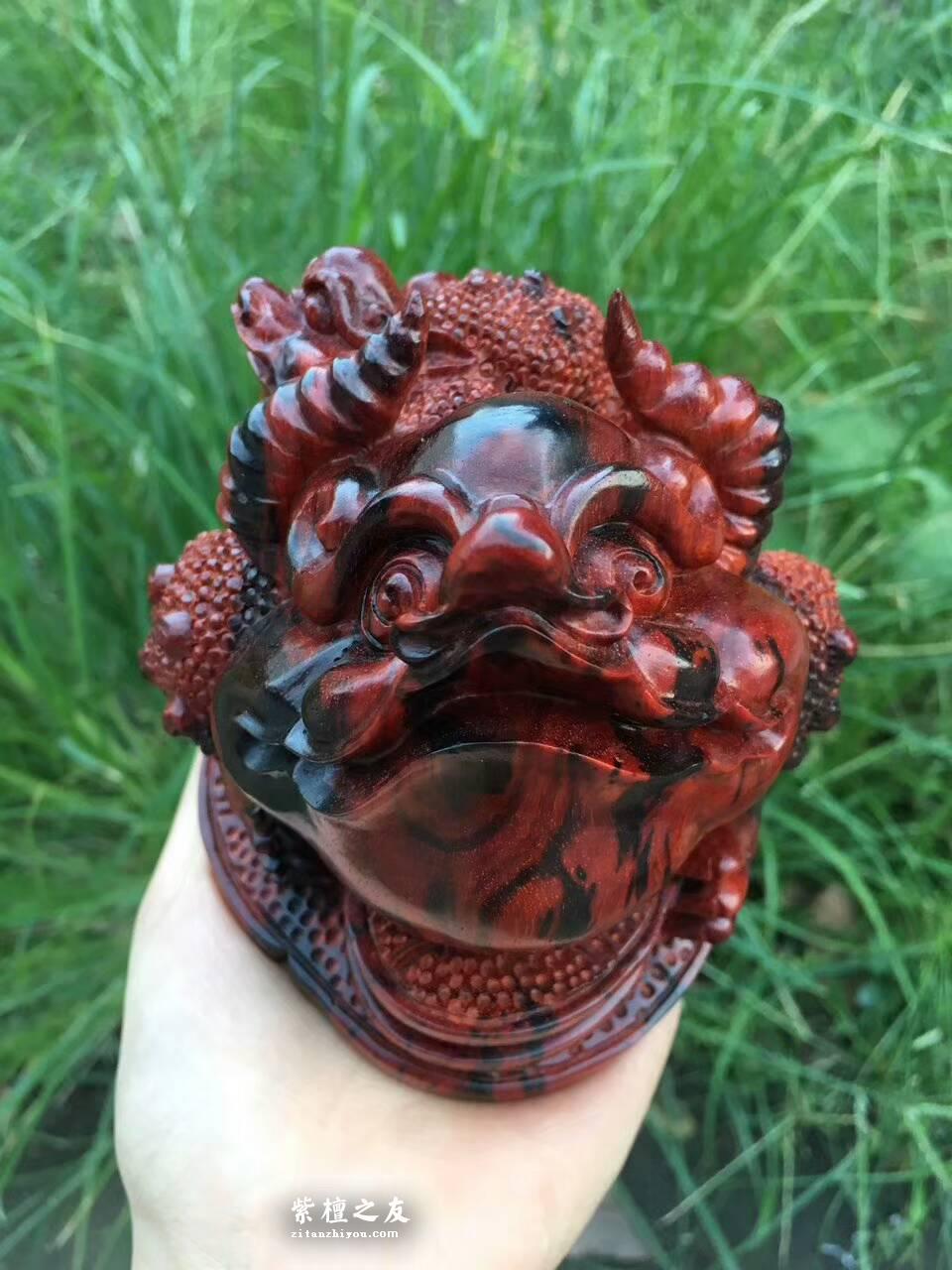 小叶紫檀招财工艺品《母子金蟾》火焰纹老料精雕寓意招财-3