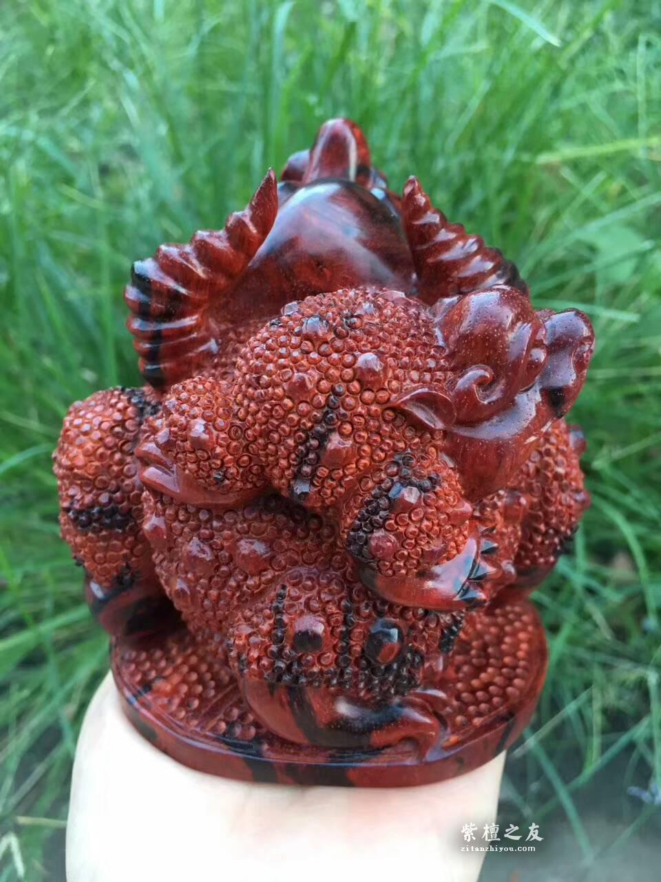 小叶紫檀招财工艺品《母子金蟾》火焰纹老料精雕寓意招财-7