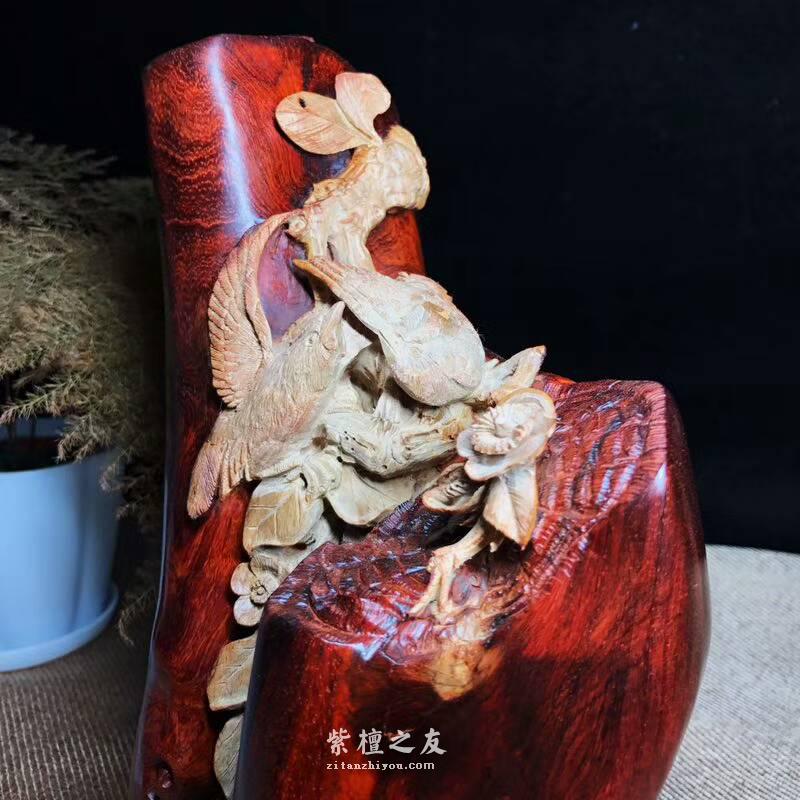 小叶紫檀工艺品 利用白皮巧雕花鸟栩栩如生-1