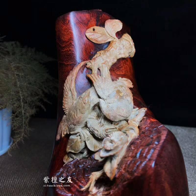小叶紫檀工艺品 利用白皮巧雕花鸟栩栩如生-3