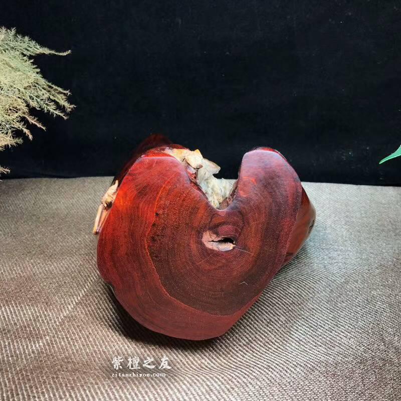 小叶紫檀工艺品 利用白皮巧雕花鸟栩栩如生-8