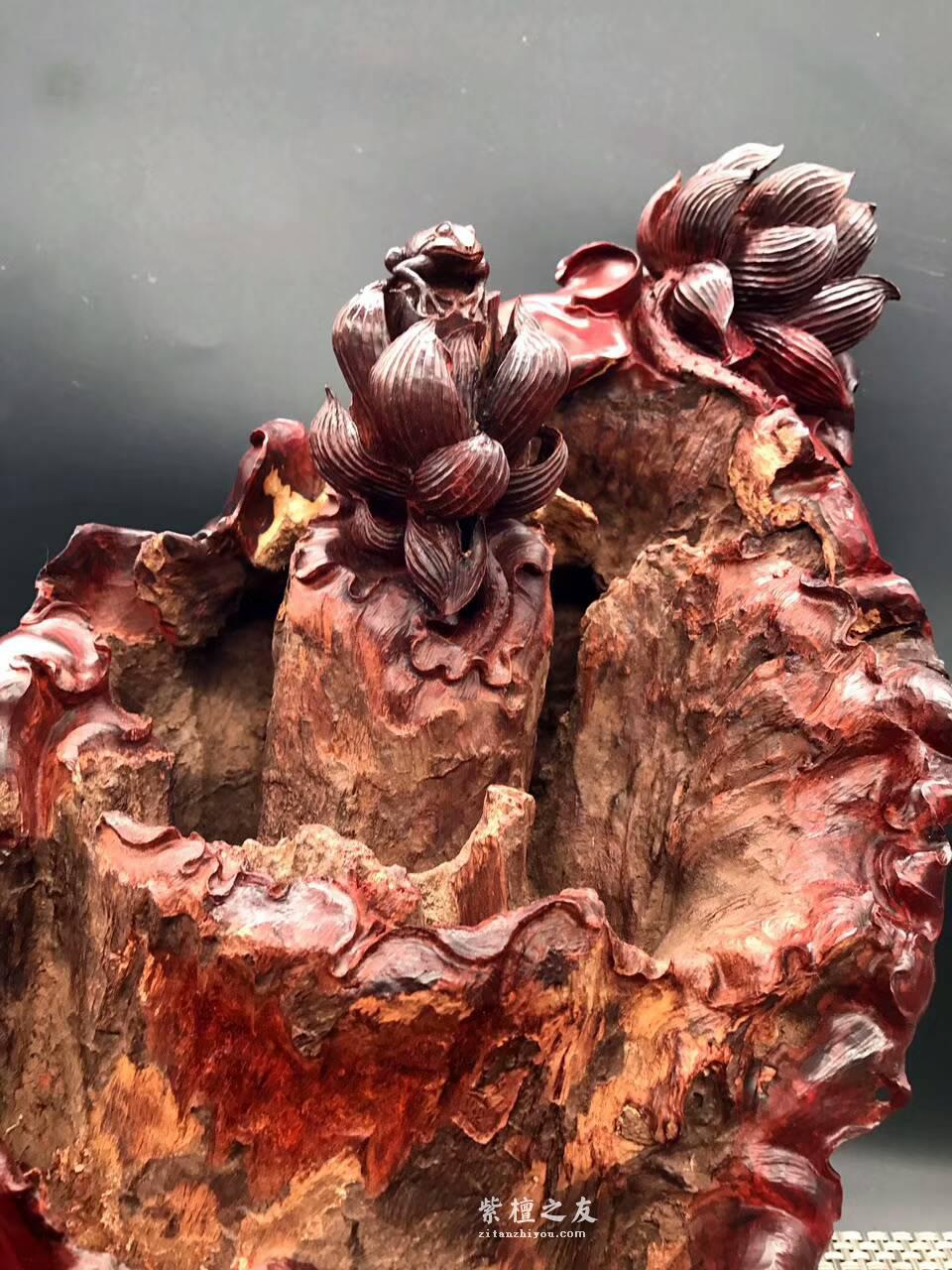 印度小叶紫檀手工雕刻枯木生花 风化百年枯木老料高密度金星带瘤树头，-6