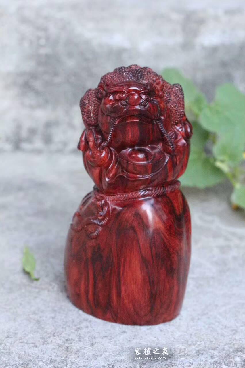小叶紫檀工艺品《招财进宝》金蟾抱钱袋 代代都有钱-4