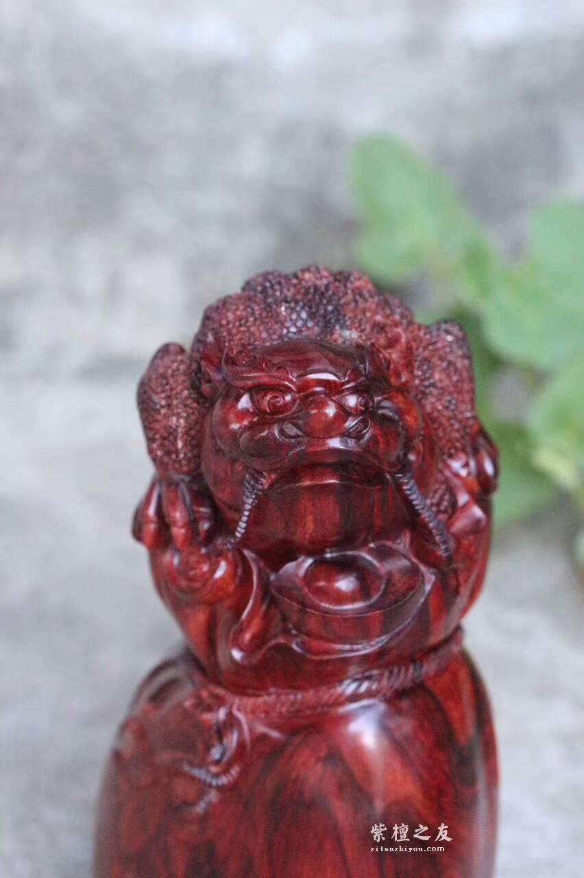 小叶紫檀工艺品《招财进宝》金蟾抱钱袋 代代都有钱-3