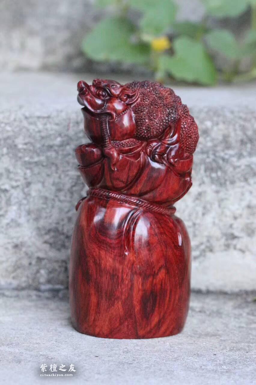 小叶紫檀工艺品《招财进宝》金蟾抱钱袋 代代都有钱-5
