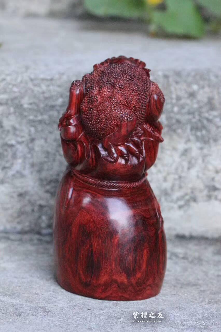 小叶紫檀工艺品《招财进宝》金蟾抱钱袋 代代都有钱-7