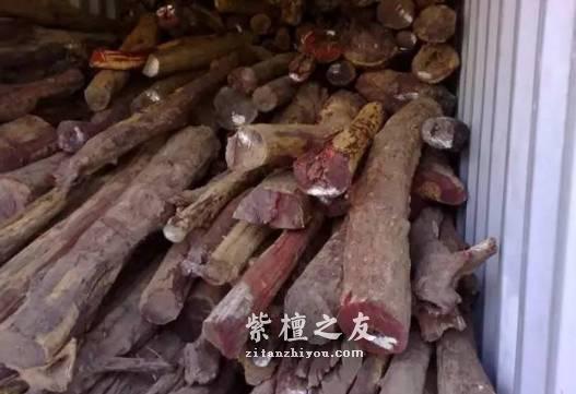 盘点市面上用于冒充小叶紫檀的五大木种-3