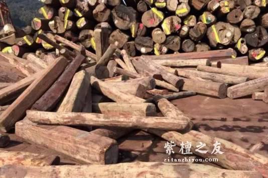盘点市面上用于冒充小叶紫檀的五大木种-4