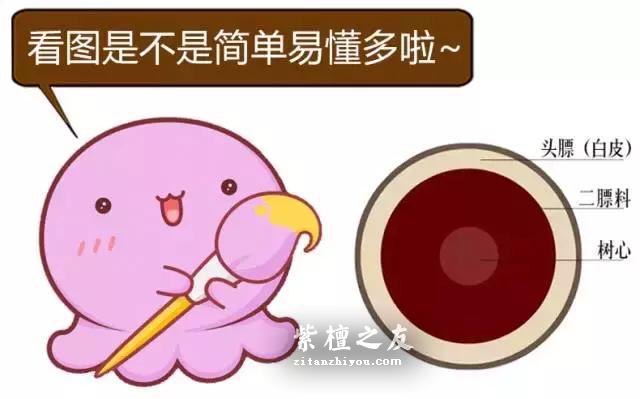 听不懂这些紫檀术语还怎么玩紫檀？-2
