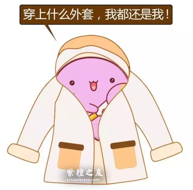 听不懂这些紫檀术语还怎么玩紫檀？-6