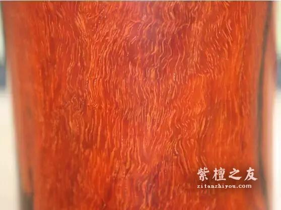 冤！紫檀4大“假象”，原来是被人误解的！-5
