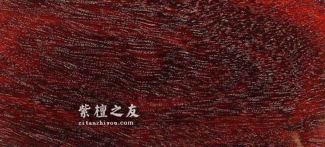 五大红木之一：小叶紫檀-5