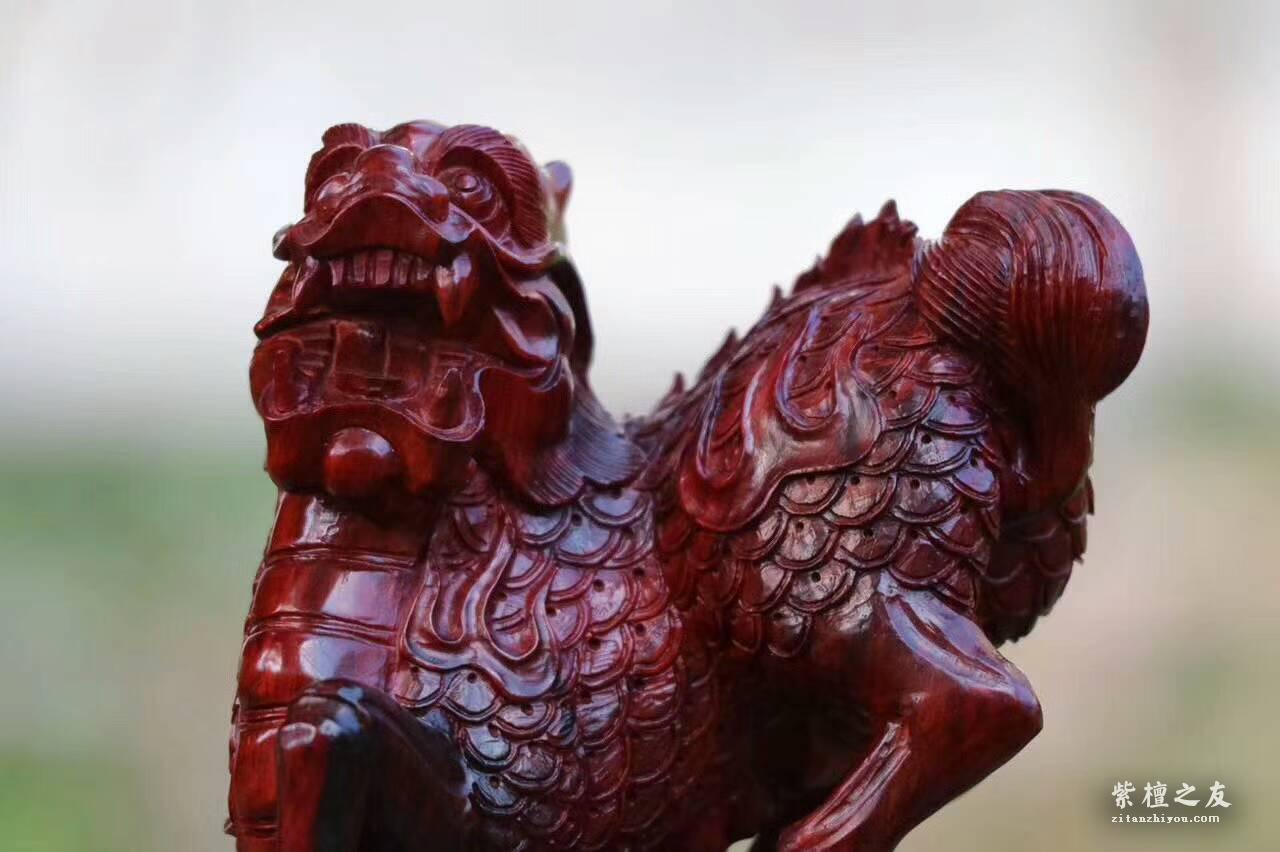 小叶紫檀雕刻品《麒麟》摆件 精美霸气工艺精湛-3