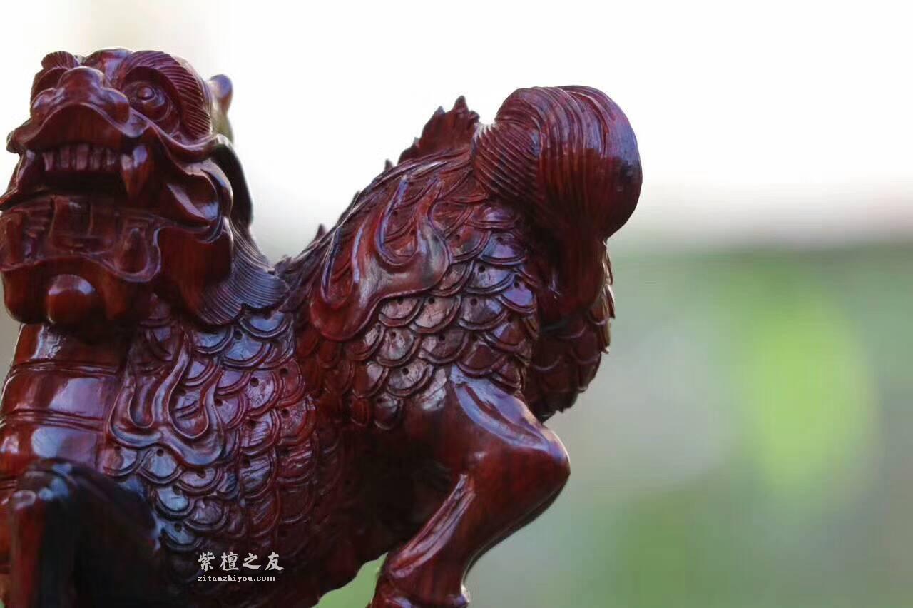 小叶紫檀雕刻品《麒麟》摆件 精美霸气工艺精湛-6