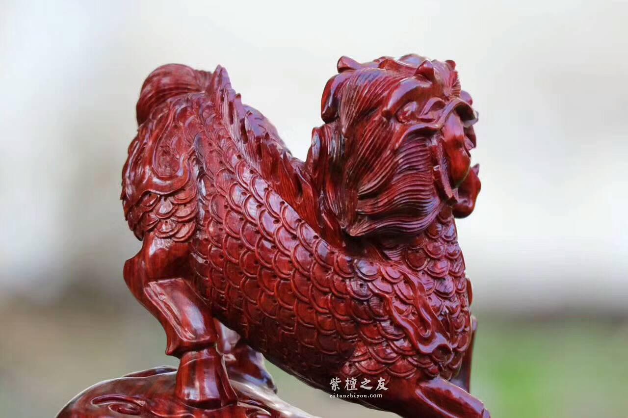 小叶紫檀雕刻品《麒麟》摆件 精美霸气工艺精湛-5
